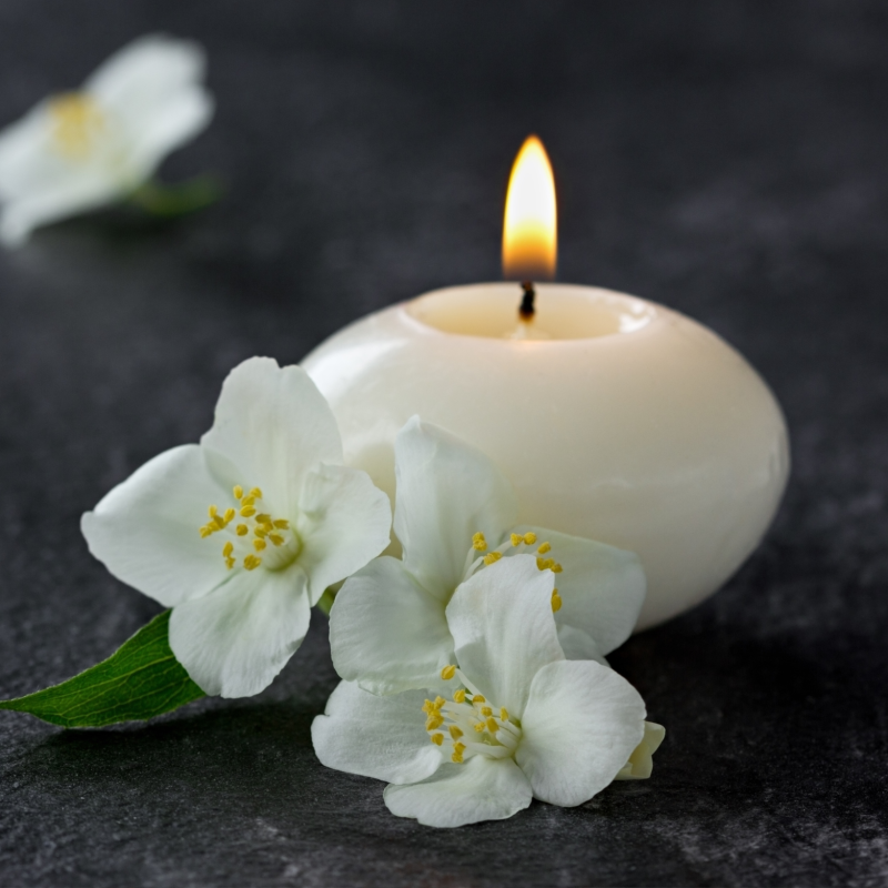 Jasmine Reverie