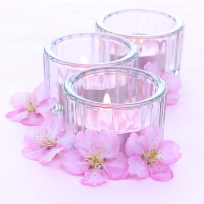 Sakura Radiance